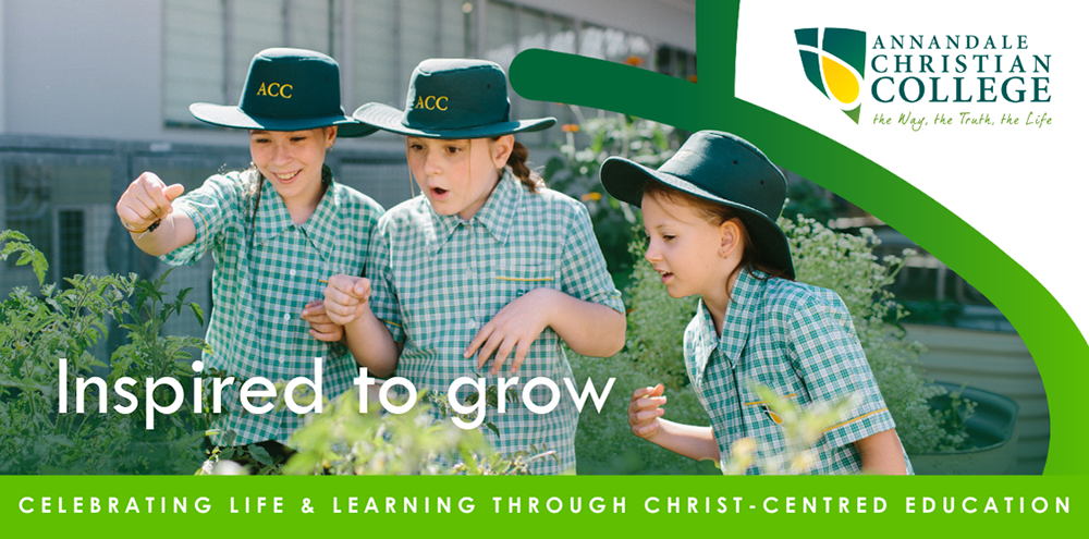 Main Image (header) Main Image (header)