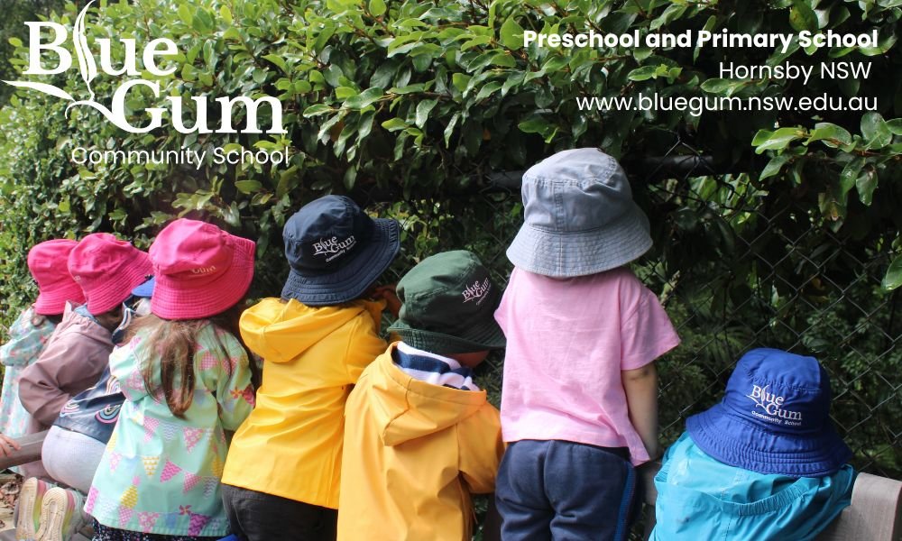 Blue Gum Community School