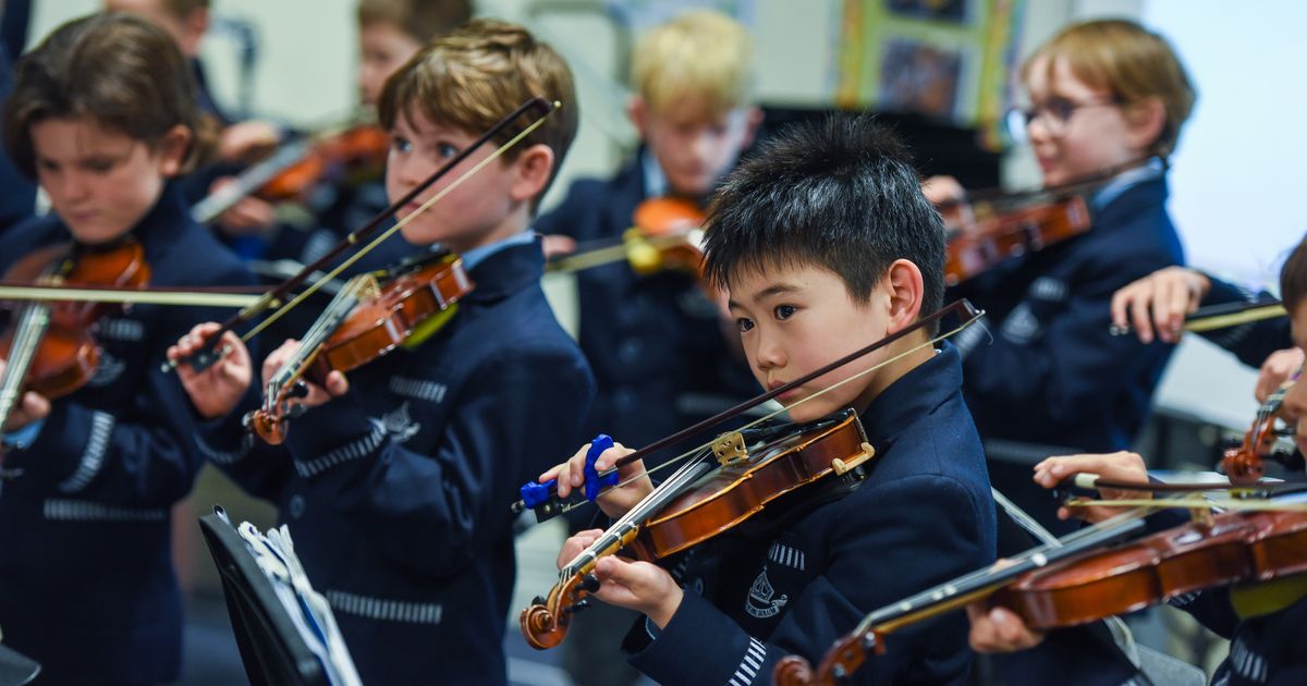 eyJidWNrZXQiOiJkaWdpc3Rvcm0td2Vic2l0ZXMiLCJrZXkiOiJtY2Vwcy1hdS1uc3ctMzM1LXdlYnNpdGVcL2NvbnRlbnRcL1Zpb2xpbi5qcGVnIiwiZWRpdHMiOnsicmVzaXplIjp7ImZpdCI6ImNvdmVyIiwicG9zaXRpb24iOiJjZW50ZXIiLCJ3aWR0aCI6MTIwMCwi