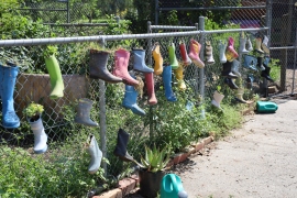 Gumboots at the School Farm