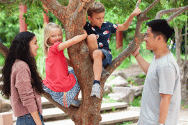 Kids-in-the-trees-2_220614_121505.gif