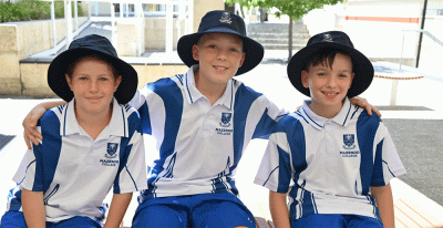 orig_691a6ed0ae8130.76443626.gif