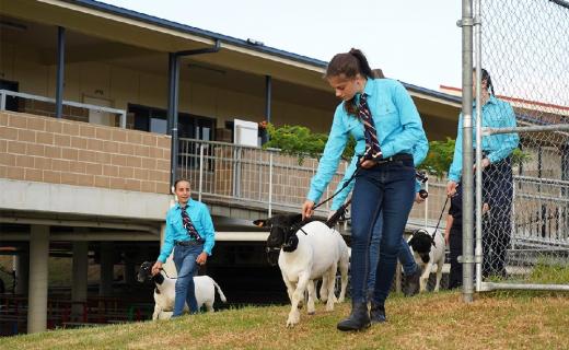 Extra-curricular opportunities in Agricultural Science help students learn in specialised interest areas