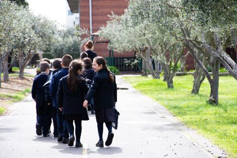 Junior School walking through our olive grove