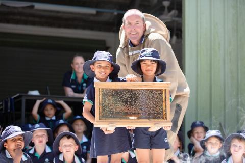 Year 1 Learning About Bees at Flinders Farm